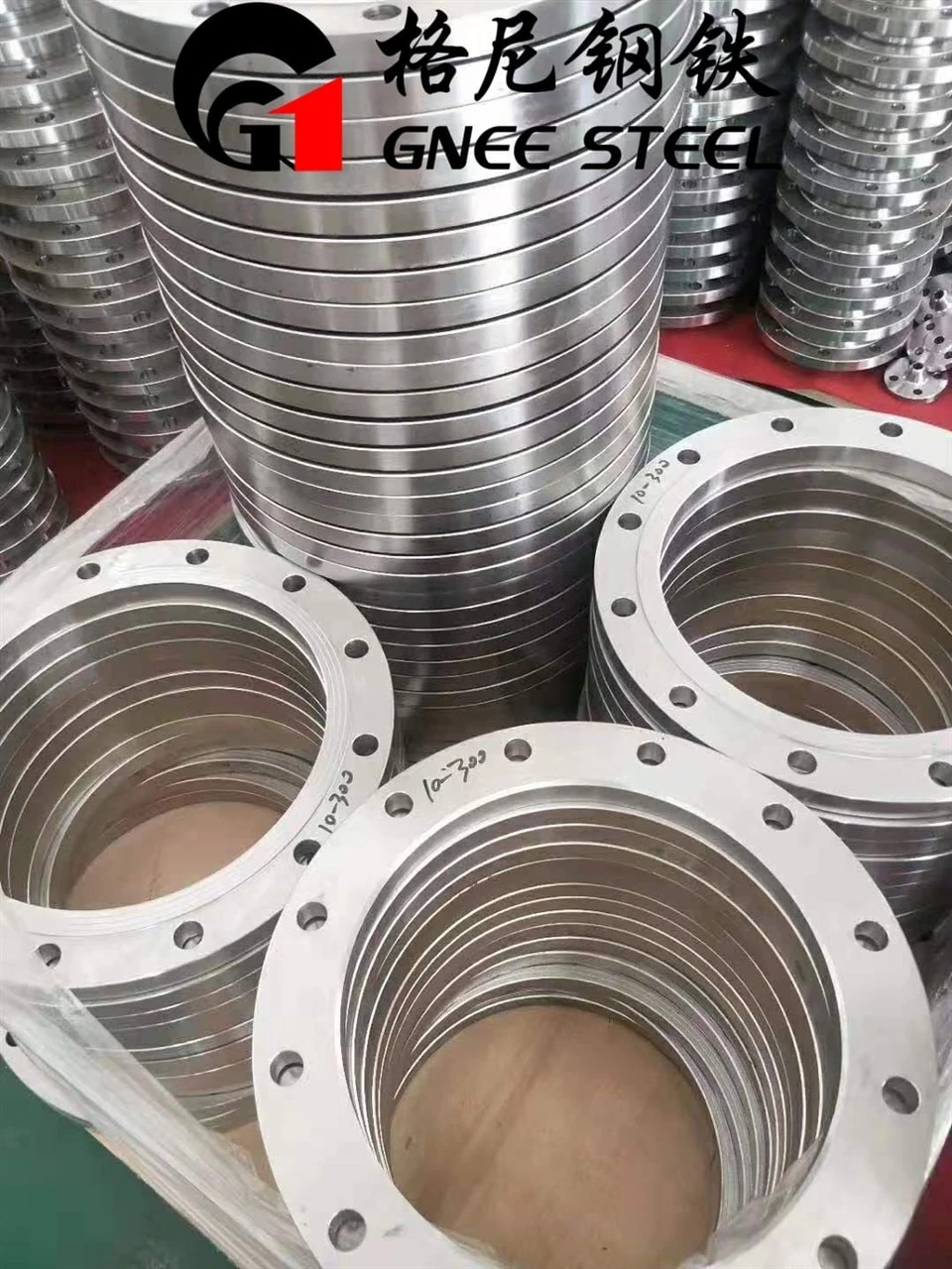 Stainless Steel 304 316 Forge Flange